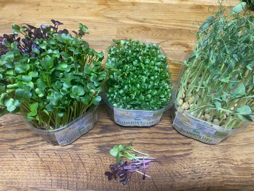 Microgreens